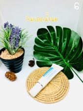 กันแดดน้ำนม